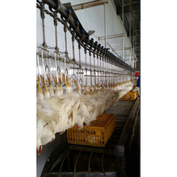 Overhead Conveyor Line der Vogelverarbeitungslinie